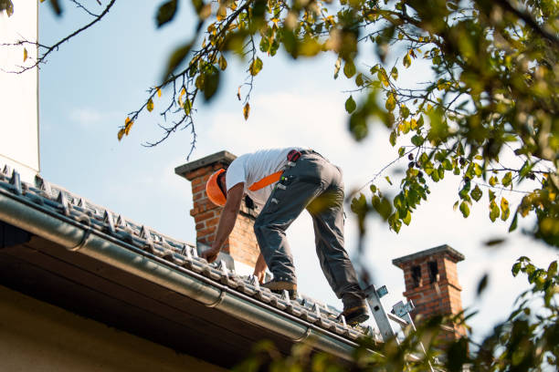 Best Metal Roofing Contractor  in Capron, IL