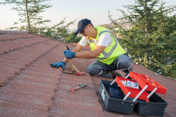 Best Roof Gutter Cleaning  in Capron, IL