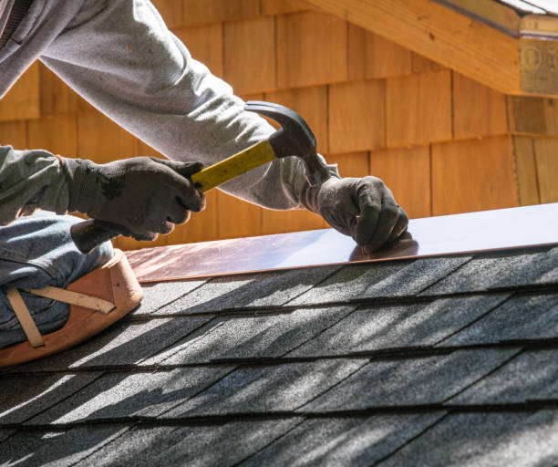 Professional Roofing Contractor in Capron, IL